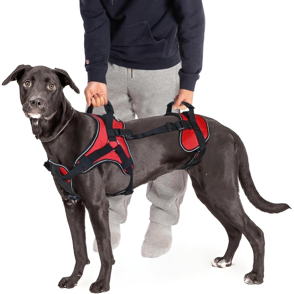 Doggie Stylz Dog Lifting Harness Vest Front Rear Full Body Support Adjustable XL